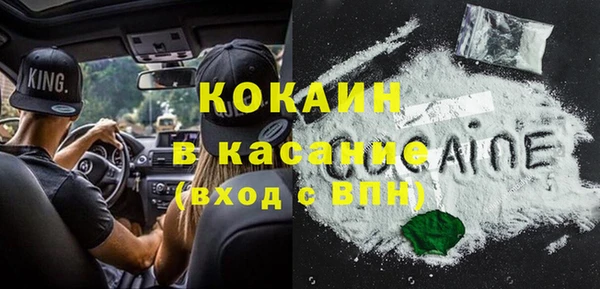 гашиш Богданович